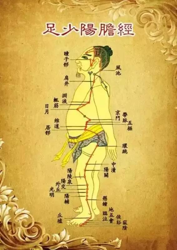 胆经不通和胆气不足辨证,中医解读胆经堵了的原因