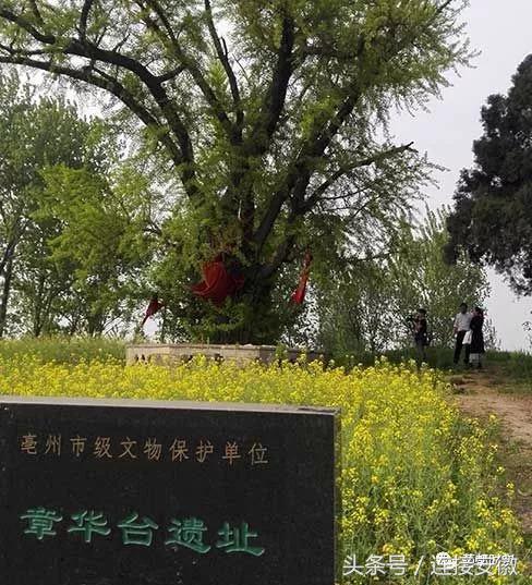 亳州市十八岁的照片,安徽亳州地级市排行