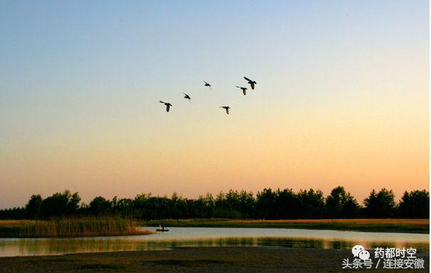 安徽最年轻的地级市是亳州吗,中国最年轻的地级市亳州