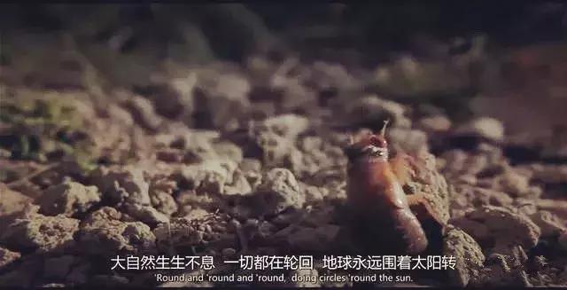 西恩潘奥斯卡最佳男主角,西恩潘获得奥斯卡影帝