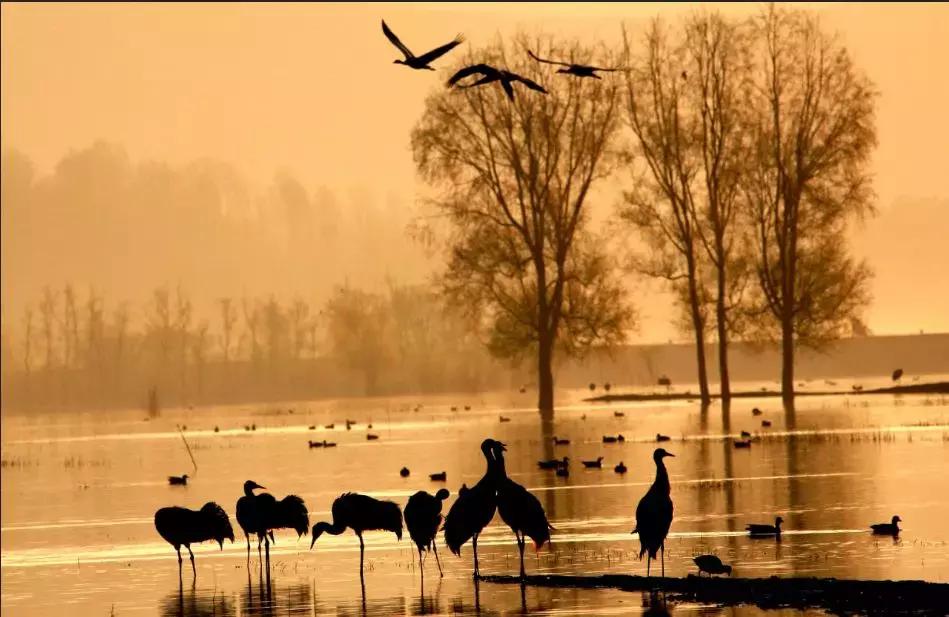 大美云南写真,大美云南山水
