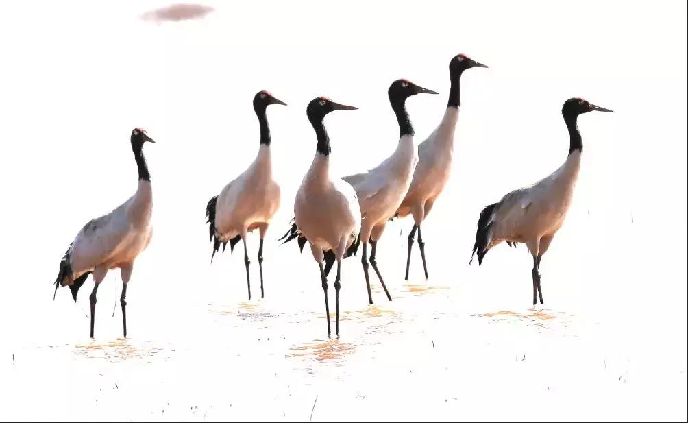 大美云南写真,大美云南山水
