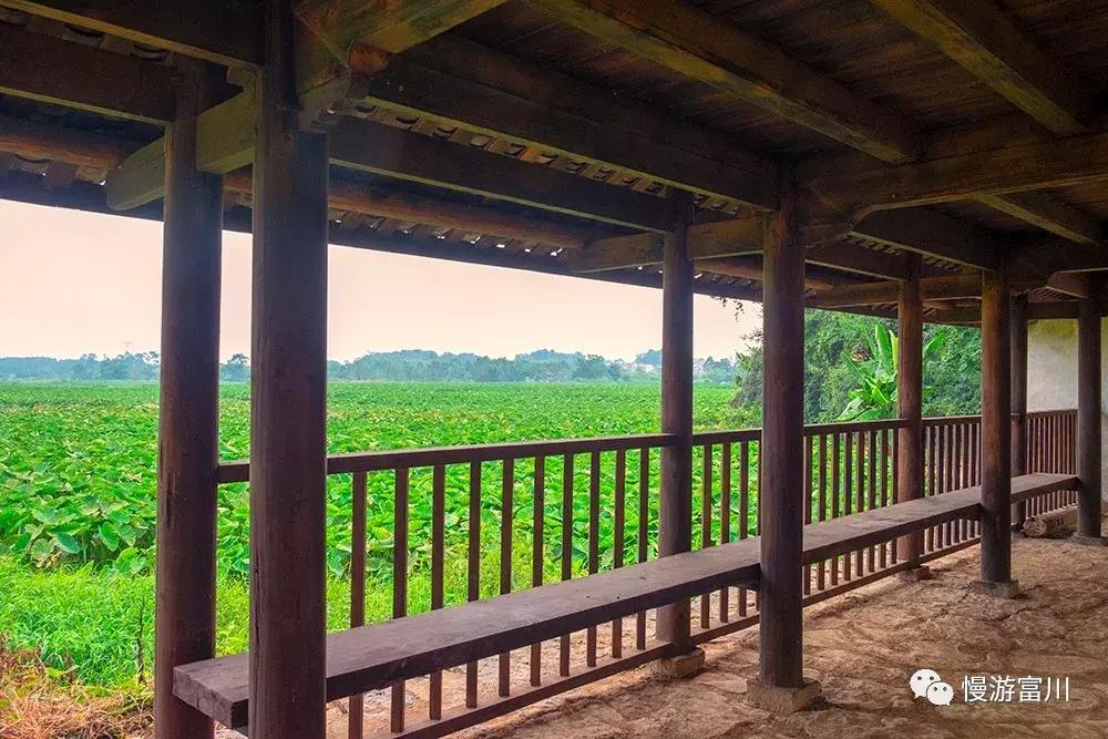 富川山清水秀,富川有树林的地方