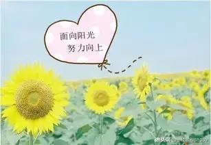 九年级下册二次函数知识点,二次函数知识点讲解全集动画