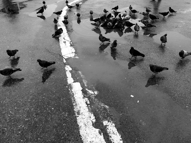 程迁飞董事长,一个走在创业路上的80后老板