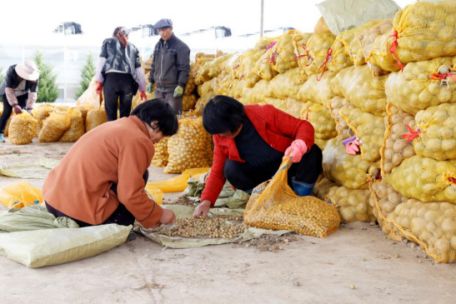 国家级校园足球特色校有效期几年,全国校园足球特色学校结果公示