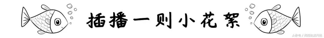 荥阳最好吃的老店排行榜,荥阳排名第一的地方