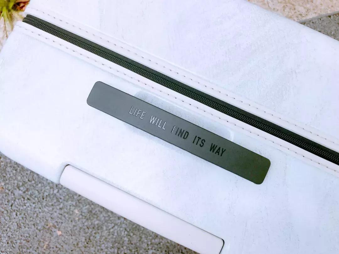 谢娜出行活动凯凯,马天宇谢娜互怼