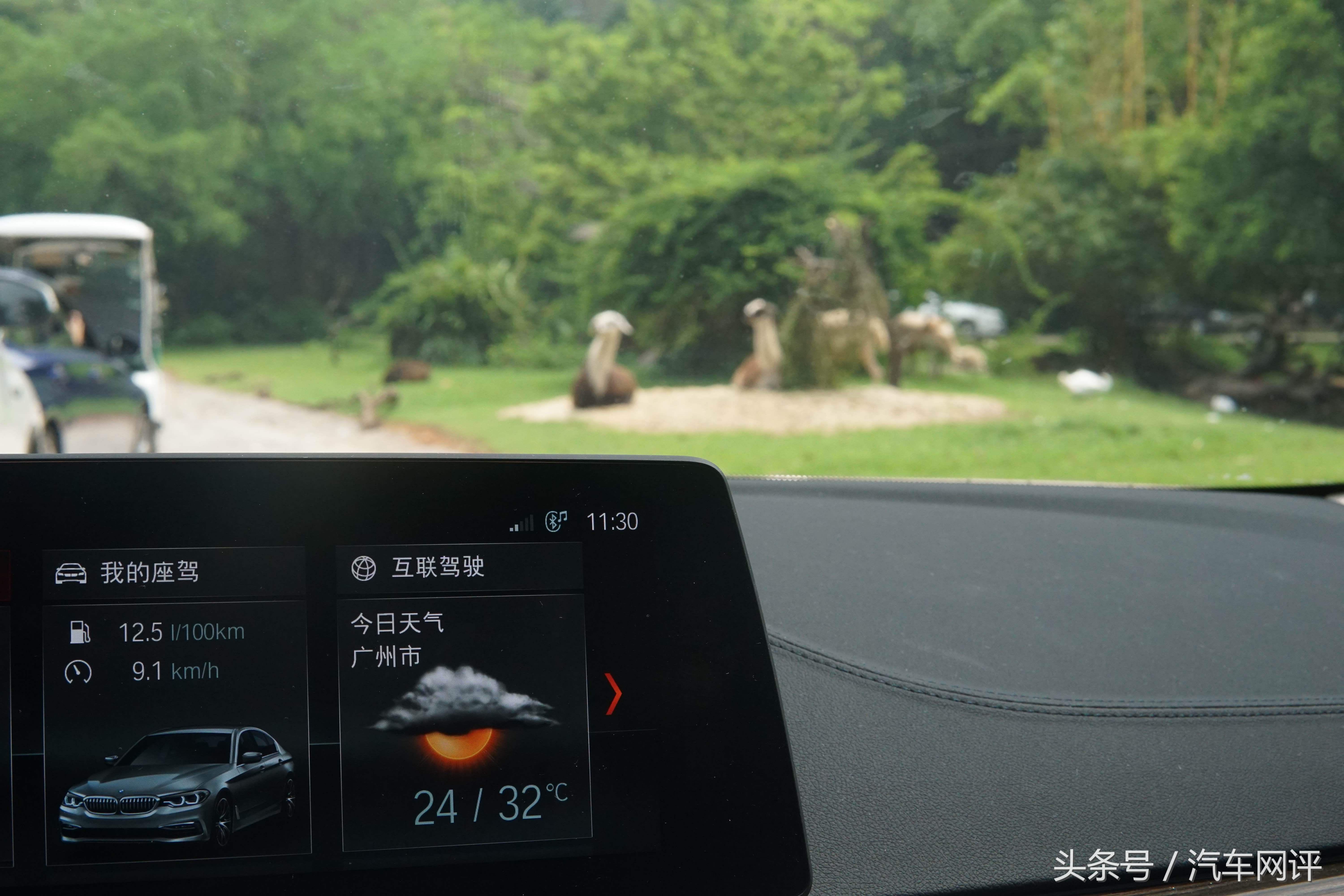 驾着宝马530Le去游玩长隆野生动物世界是一种怎样的体验？