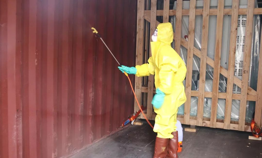 非洲猪瘟丨这个省境内连报8起……海关采取这样一些最严格的口岸防控措施