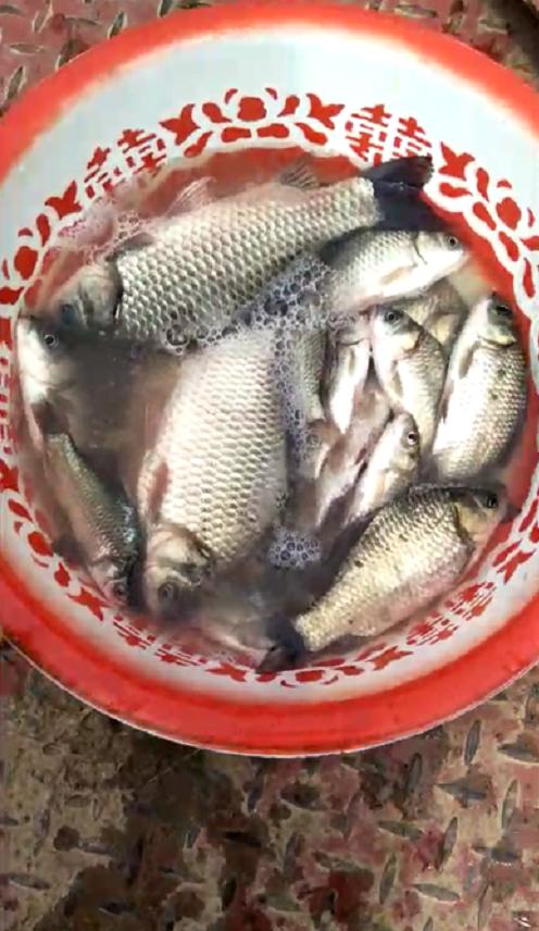 南部县升钟湖钓鱼视频,南部县升钟湖钓鱼价格