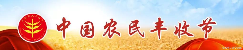 辽宁粮食节直播,辽宁卫视丰收节现场直播