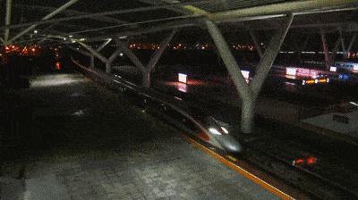 现在在香港代购还可以吗,现在还能去香港代购么