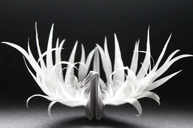 每天折一只纸鹤,每天折8只千纸鹤4天一共折多少只