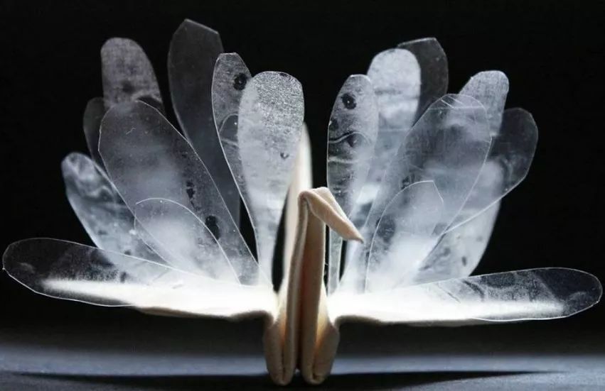 每天折一个千纸鹤,每天折一只纸鹤