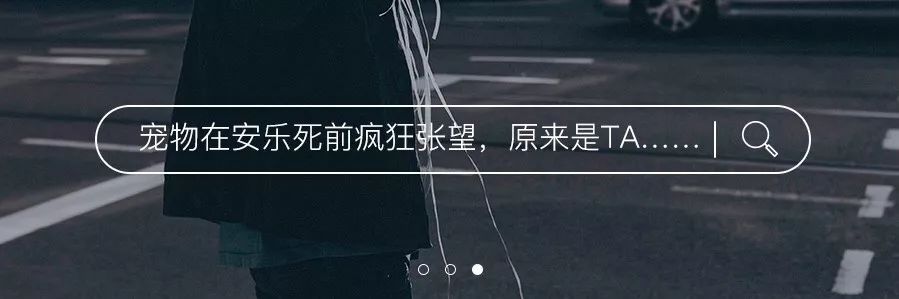 周迅朗读我老了,周迅怎么突然老了