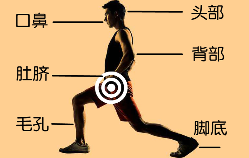 夏季养阳穴位,大人恶寒按摩什么穴位
