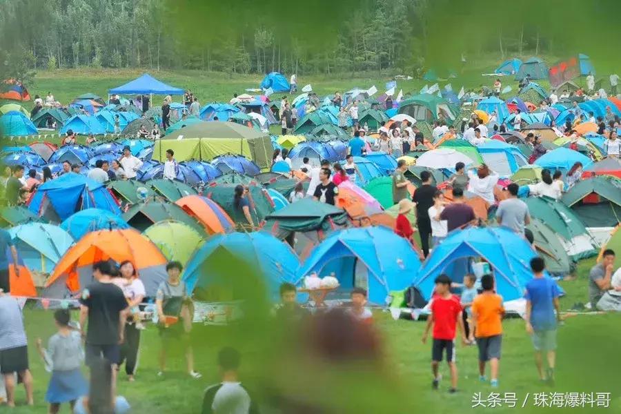 神操作假期,神操作一口气过12个绿灯