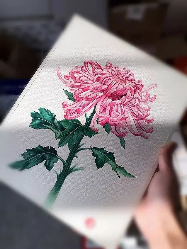 拥有800万超高人气,看看这位大神,是如何用水溶彩……