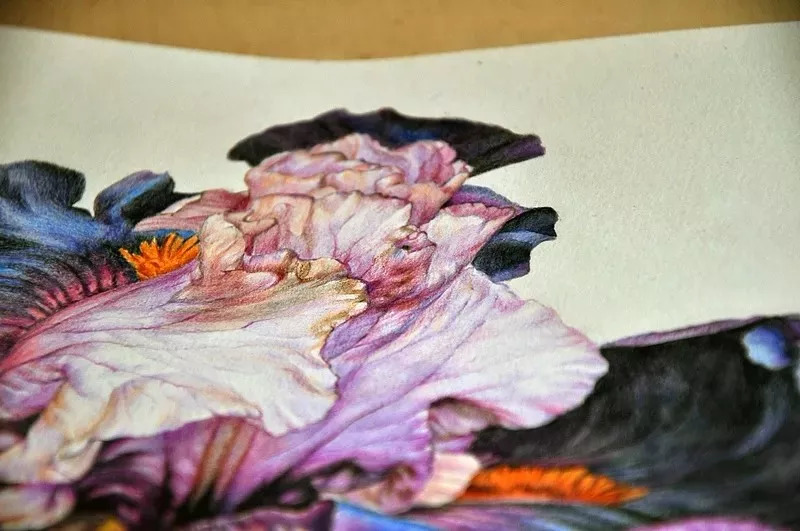 她画的超写实水彩花卉美到窒息,让人惊艳的水彩画