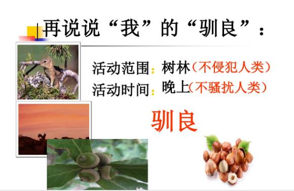 提高五年级作文水平的技巧及训练,小学五年级作文十大技巧