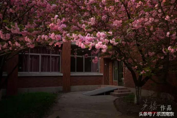 让人“难瘦”的三江学院四号门！