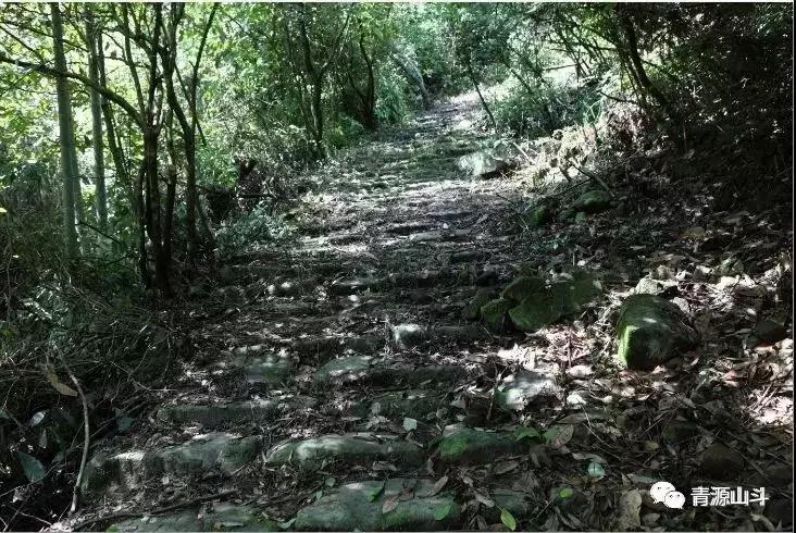 三峡猕猴桃 (中国农民丰收节博山猕猴桃)