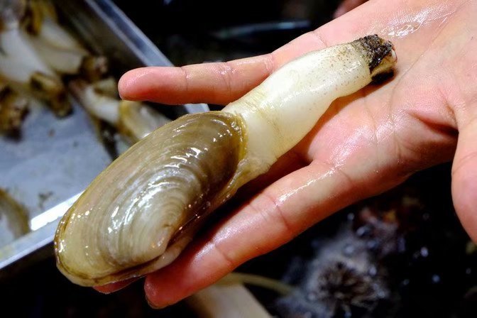 十一去三亚自助游攻略路线怎么走,这份三亚秋冬吃喝攻略请收好