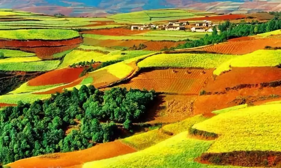 敦化寒葱岭红叶谷风景,吉林红叶最新视频