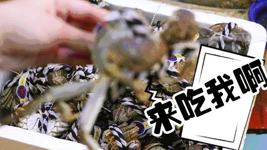 大闸蟹哪些地方不能吃图解,大闸蟹的部位哪个地方不能吃