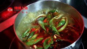 过气网红要凉凉？渔遇上鱼告诉您有实力的网红从不会过气！