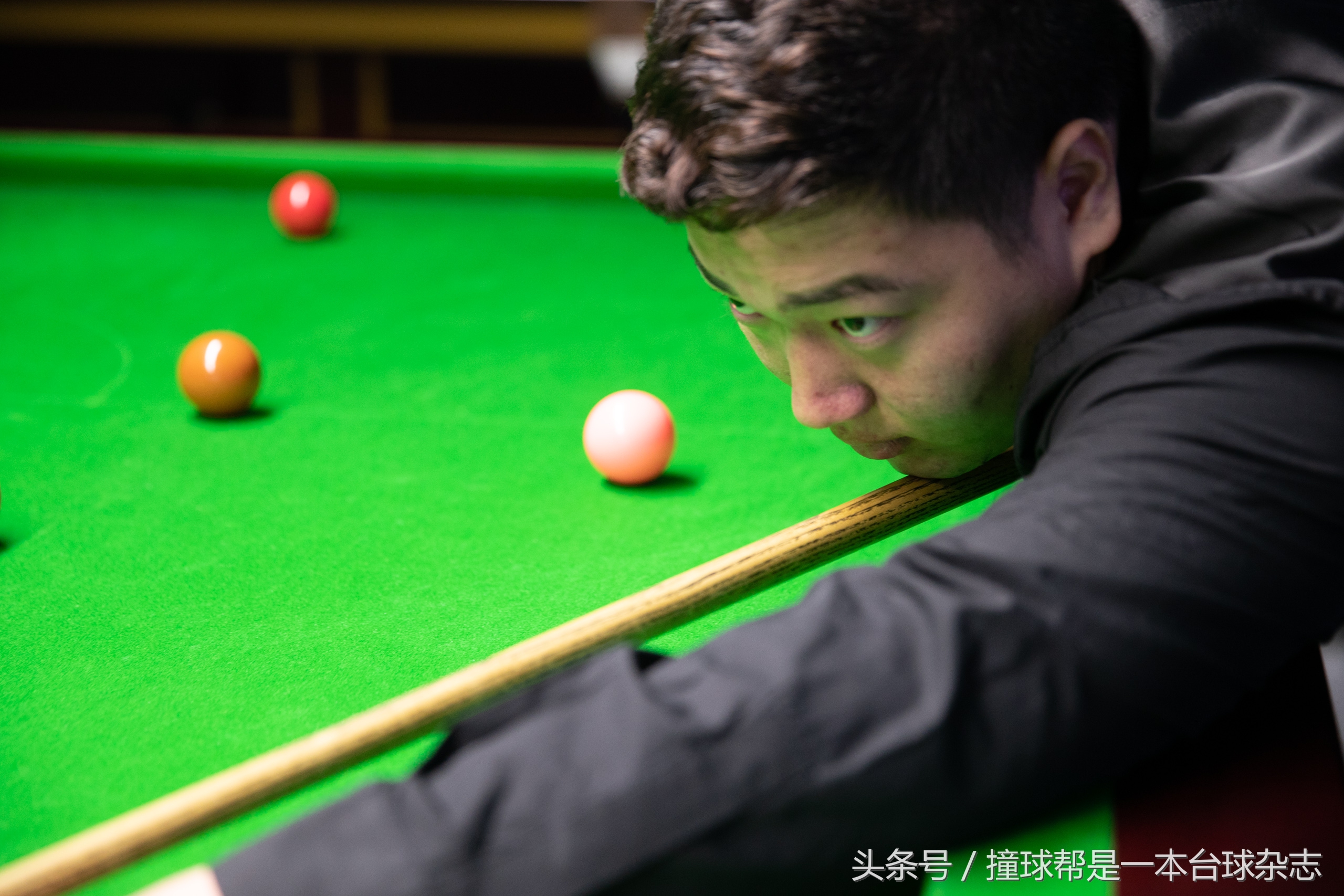 马克威廉姆斯技术特点,马克威廉姆斯成长之路