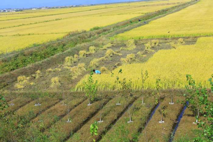 朝鲜农村自然风景,朝鲜原生态村庄