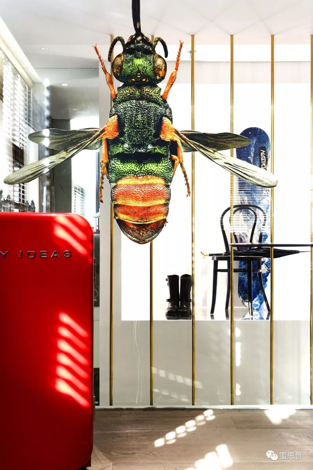 她是苏小糖，城里最会生活的摄影师：如何忙碌，都不曾错失生活