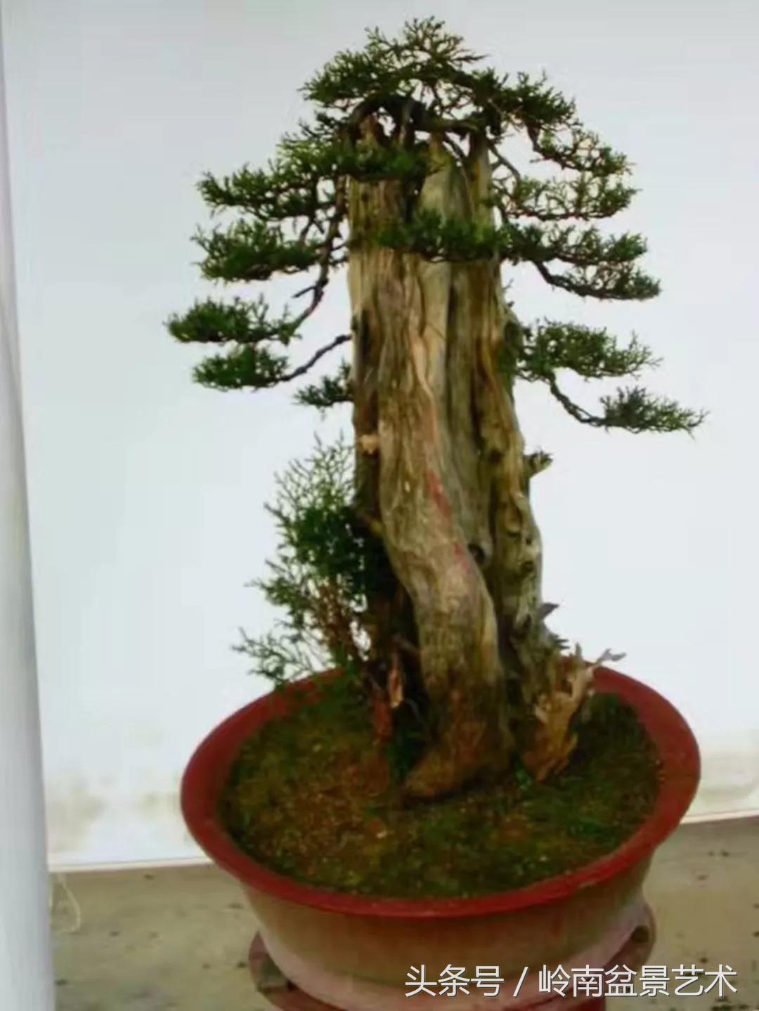 神来之笔绘画作品欣赏,神来之笔书法作品大全