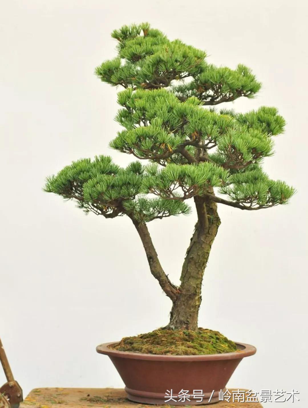 神来之笔绘画作品欣赏,神来之笔书法作品大全