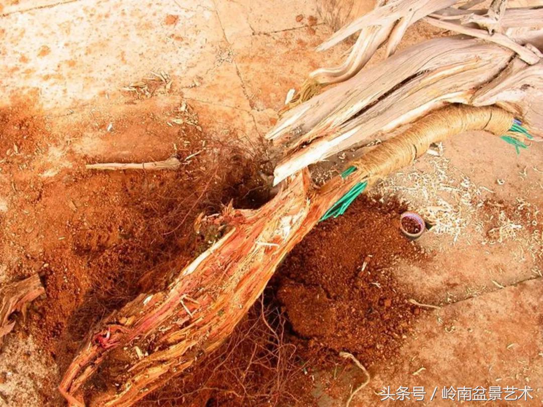 神来之笔绘画作品欣赏,神来之笔书法作品大全