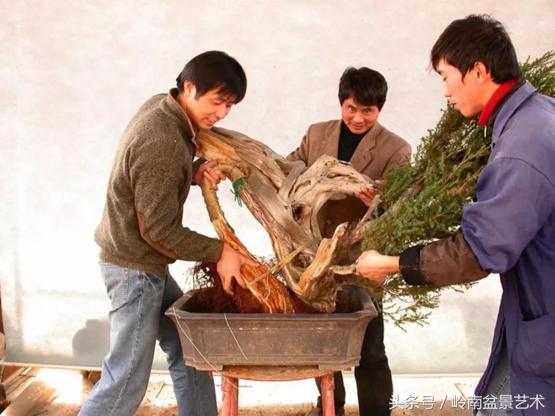 神来之笔绘画作品欣赏,神来之笔书法作品大全