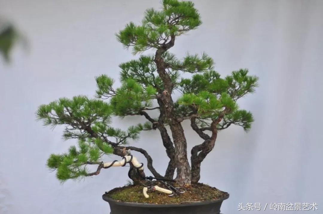 神来之笔绘画作品欣赏,神来之笔书法作品大全