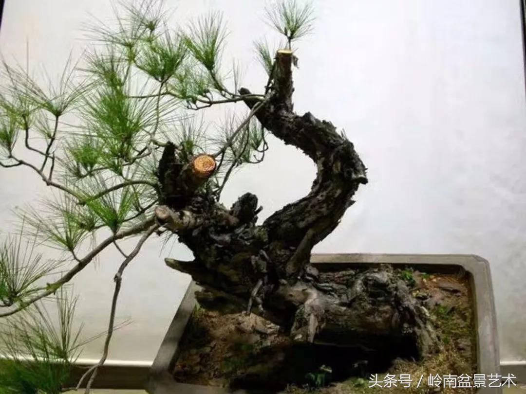 神来之笔绘画作品欣赏,神来之笔书法作品大全