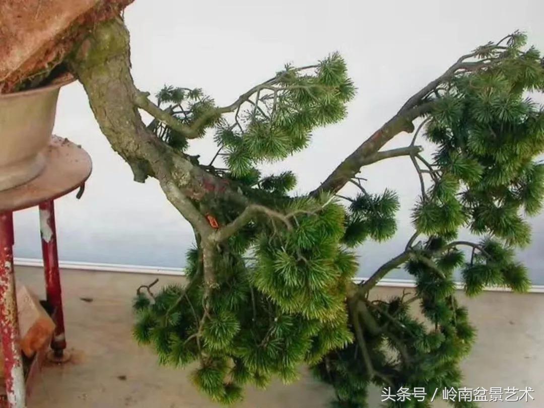 神来之笔绘画作品欣赏,神来之笔书法作品大全