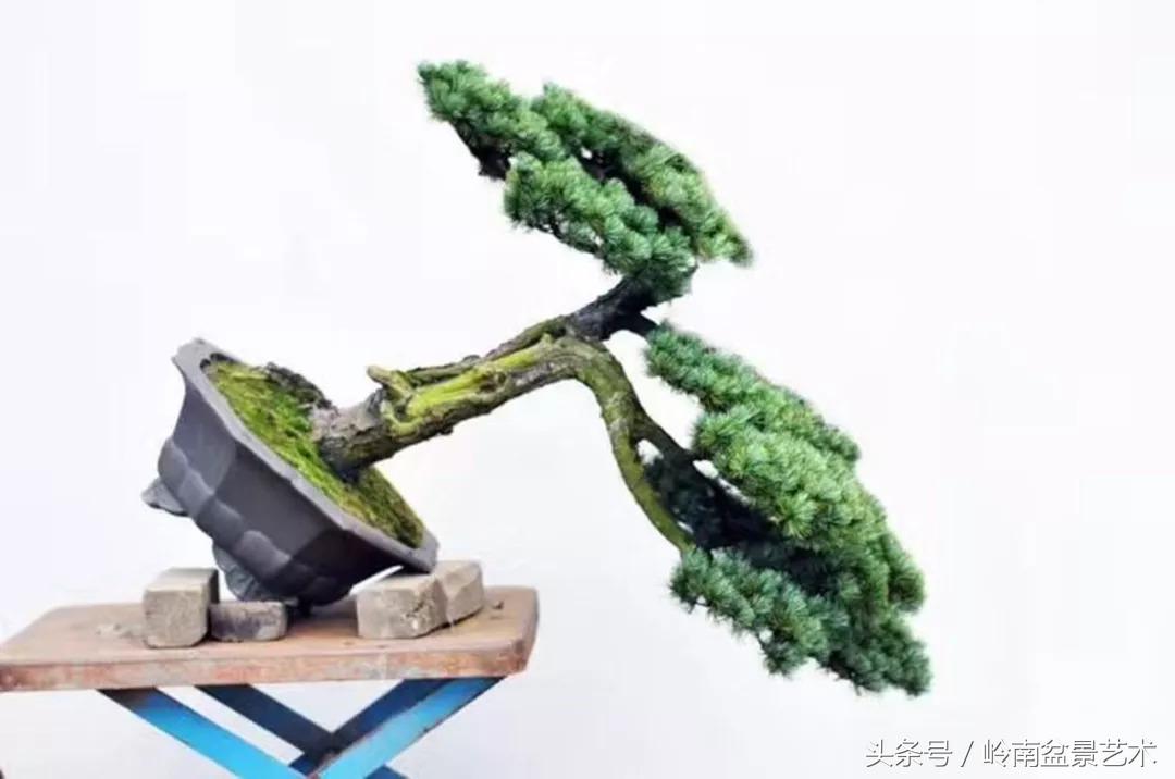 神来之笔绘画作品欣赏,神来之笔书法作品大全