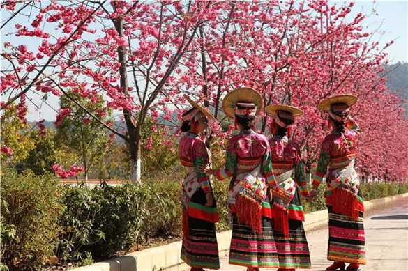 傣装衣服款式类型大全,傣装写真一键换装