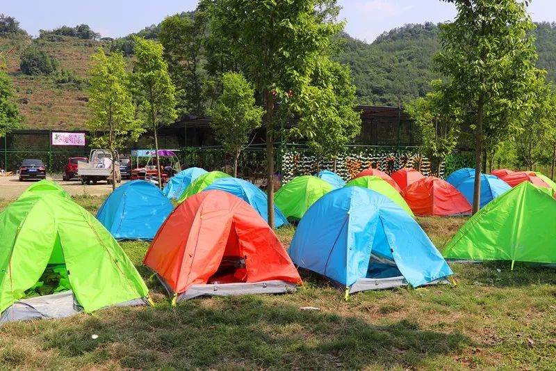 最好看的紫薇花美景,初秋靓丽的紫薇花