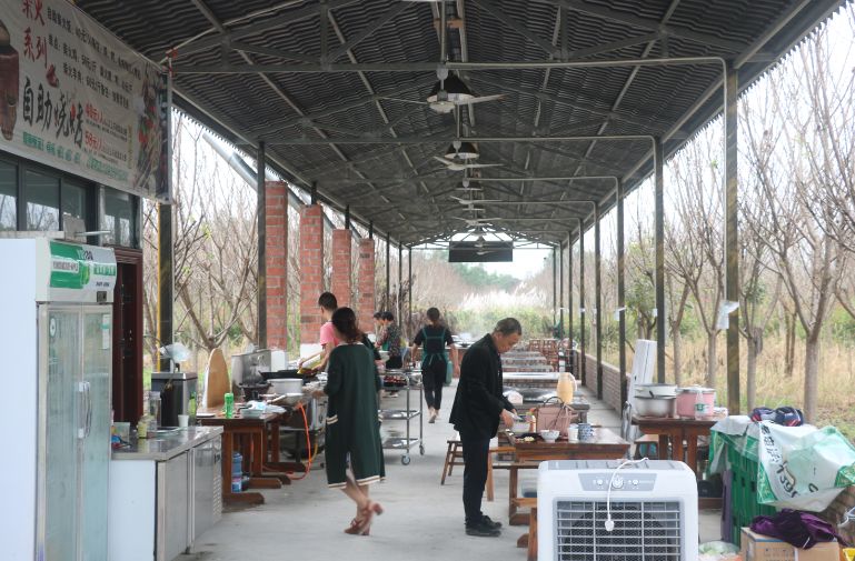 最好看的紫薇花美景,初秋靓丽的紫薇花