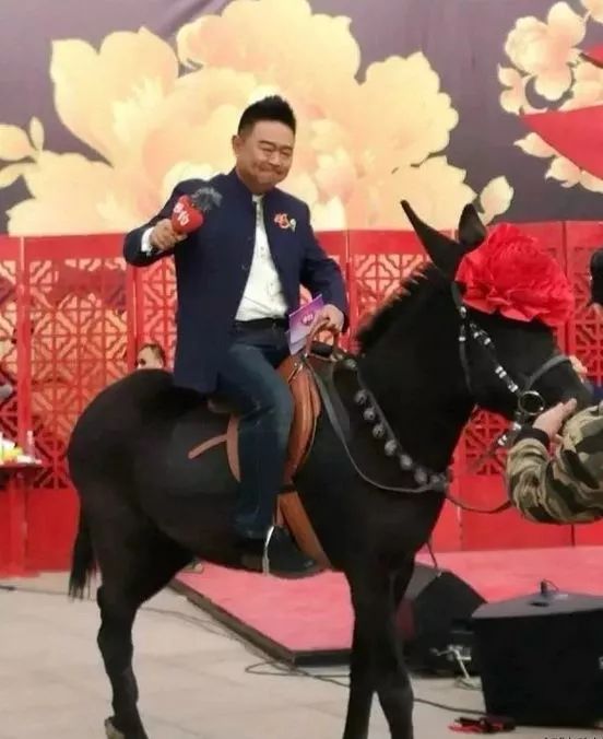 2018直播丰收节：笑喷！体育名嘴孙正平来杨凌，解说牛、羊、西瓜的大检阅！