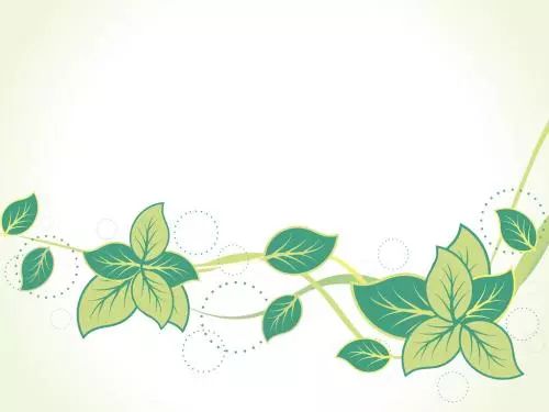 “给你”不是“giveyou”！那应该怎么说？