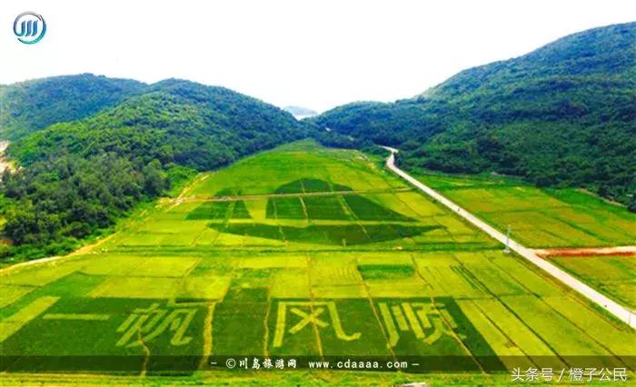 川岛旅游攻略2天一晚,广东省台山市川岛镇下川岛