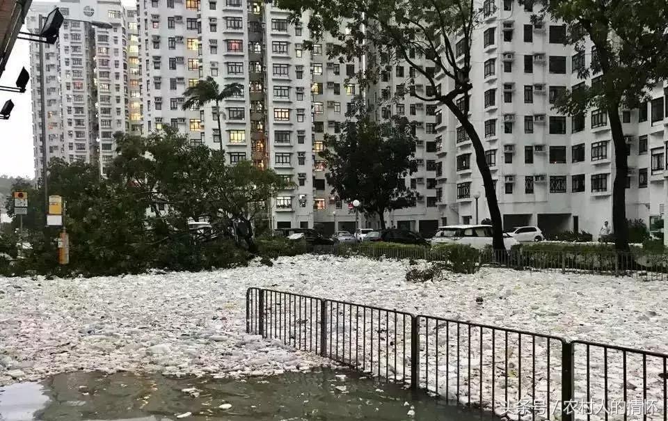 “三竹”过后真正的报应来了