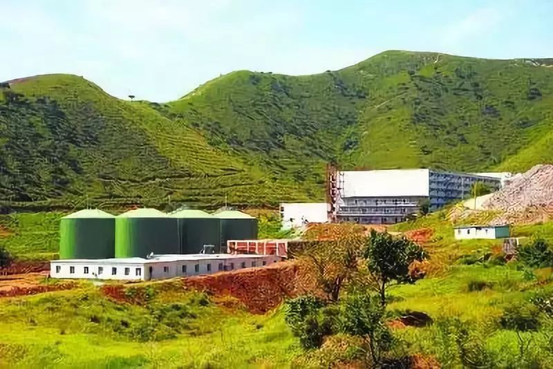 养猪怎么才能提高经济效益,养猪的经济效益和社会效益